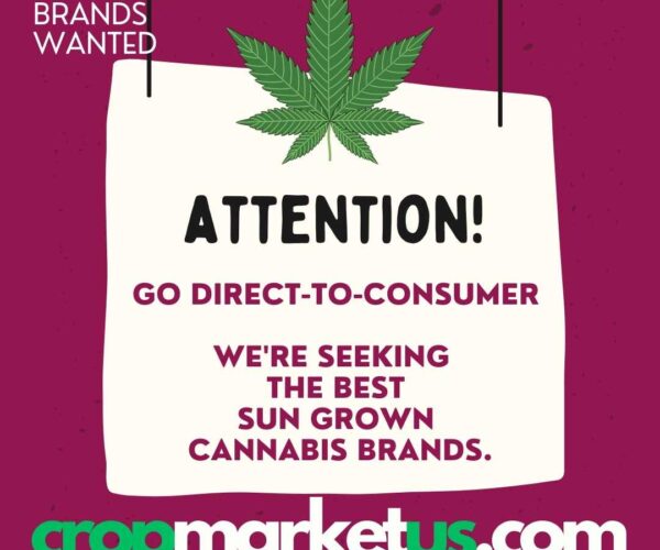 Looking for the highest quality, organic and sustainable sun grown cannabis for a new delivery service in Los Angeles
