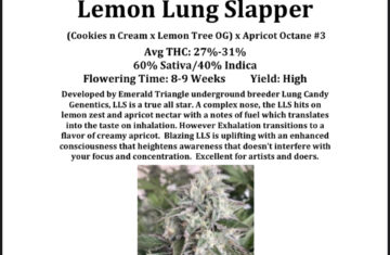 Lemon-Lung-Slapper-Info-Sheet-SS