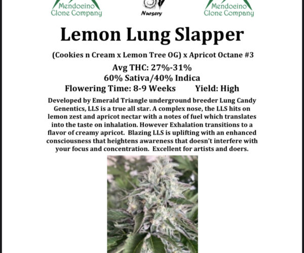 Lemon Lung Slapper